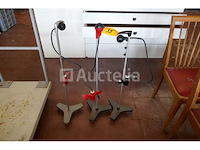 3 rokafronders - afbeelding 2 van  3