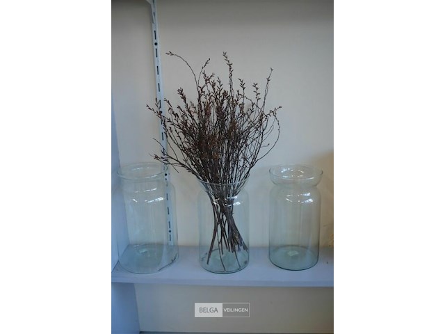 3 transparante vazen h=31 cm - afbeelding 1 van  3