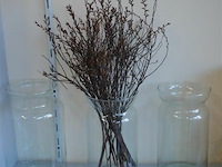 3 transparante vazen h=31 cm - afbeelding 1 van  3