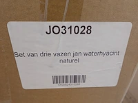 3 vazen jan waterhyacint - afbeelding 6 van  6