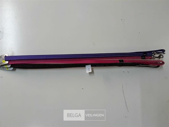 3 x hondenlijn 1,4 m 3 assorti rogz met fluo strips - afbeelding 2 van  3