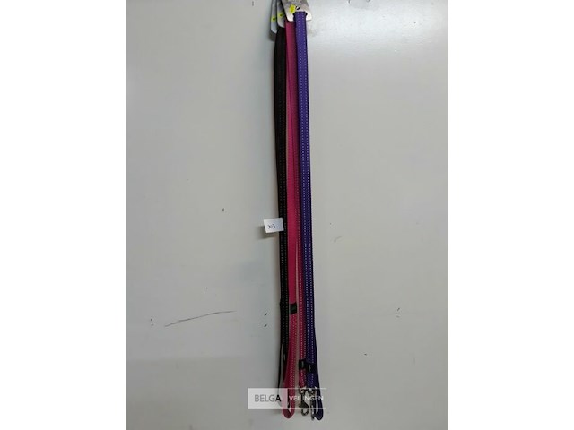 3 x hondenlijn 1,4 m 3 assorti rogz met fluo strips - afbeelding 1 van  3
