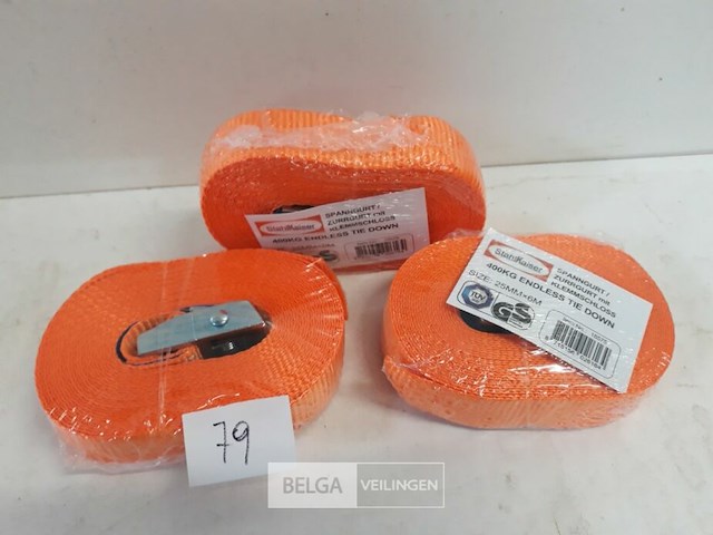 3 x spanbanden met spanklem - afbeelding 3 van  3