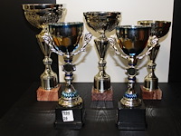 3 x trofee - afbeelding 1 van  1