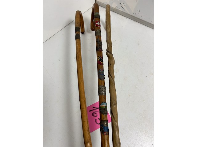3 x wandelstok - afbeelding 2 van  2