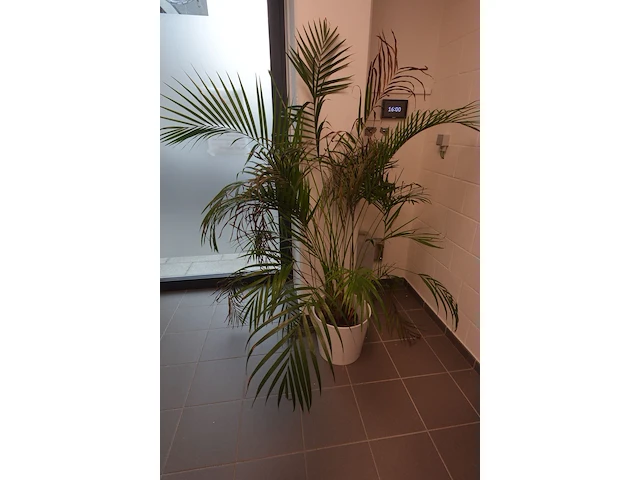3 zit 2x plant en bijzettafel - afbeelding 4 van  5