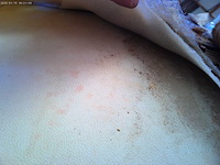 3-zits leren bank - wit - afbeelding 6 van  6