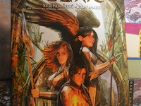 ±30 div stripverhalen - afbeelding 2 van  16