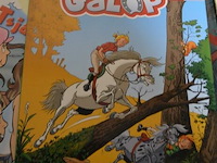 ±30 div stripverhalen - afbeelding 10 van  16