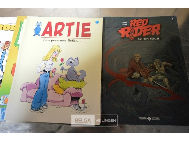 ±30 div stripverhalen - afbeelding 13 van  16