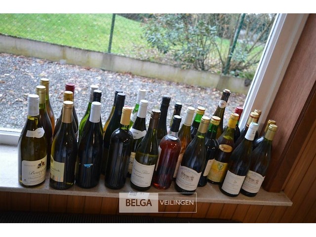 ±30 flessen diverse wijnsoorten - afbeelding 1 van  3