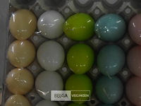 30 paaskaarsen ei vorm - afbeelding 2 van  3