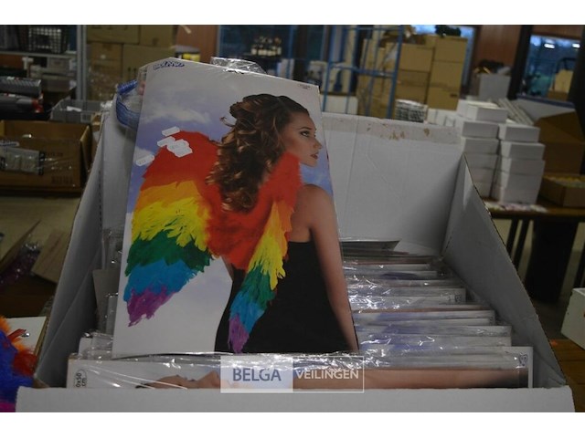 ±30 regenboog vleugels - afbeelding 1 van  2