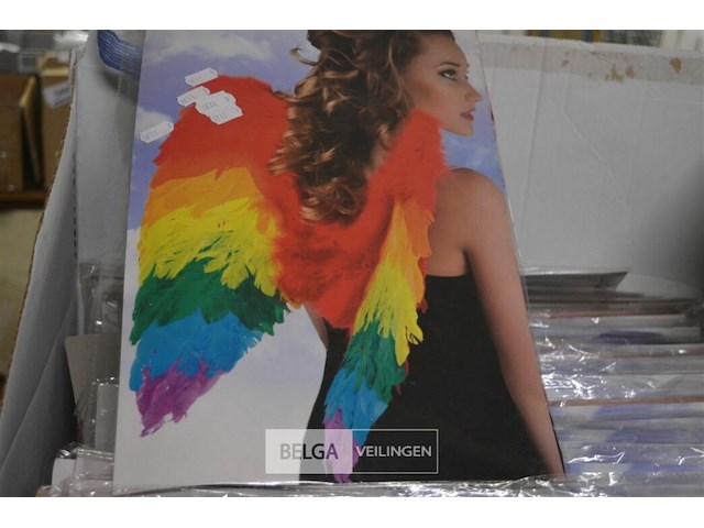 ±30 regenboog vleugels - afbeelding 2 van  2