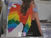 ±30 regenboog vleugels - afbeelding 2 van  2