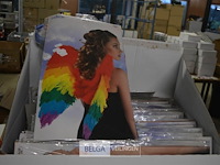 ±30 regenboog vleugels - afbeelding 1 van  2