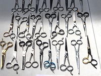 30 stalen kapperscharen