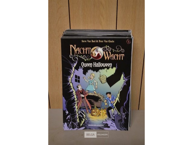 ±30 stripverhalen; de nachtwacht - afbeelding 1 van  2