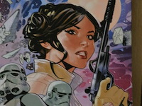 ±30 stripverhalen; prinses leia - afbeelding 2 van  2