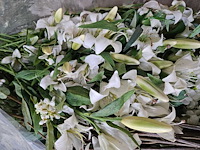 300+ artificiële bloemen en groen - afbeelding 9 van  21