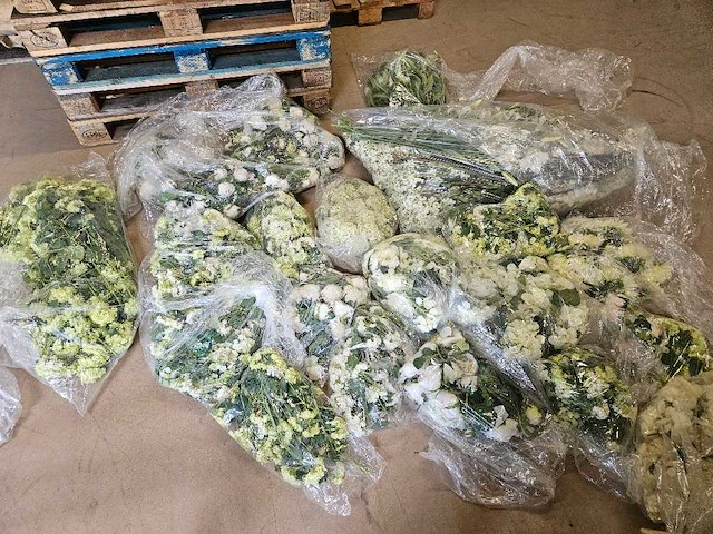 300+ artificiële bloemen en groen - afbeelding 1 van  21