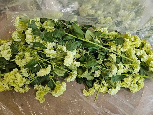 300+ artificiële bloemen en groen - afbeelding 10 van  21