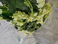 300+ artificiële bloemen en groen - afbeelding 16 van  21