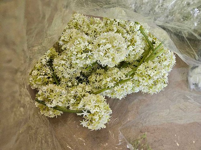 300+ artificiële bloemen en groen - afbeelding 21 van  21
