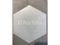 30m² daker white hexagonaal, vloer en muur met beton - afbeelding 2 van  2