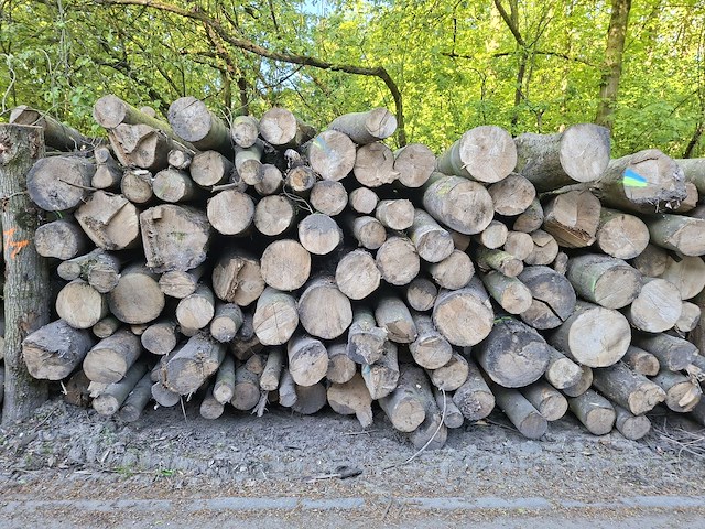 30x stère - afbeelding 1 van  1