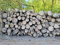 30x stère