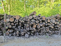 30x stère