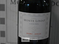 30x750ml monte lindo rouge merlot - afbeelding 2 van  2