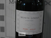 30x750ml monte lindo rouge merlot - afbeelding 2 van  2