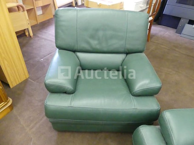 3+1 zitplaatsen bank in buffelleer - afbeelding 1 van  7