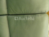 3+1 zitplaatsen bank in buffelleer - afbeelding 5 van  7