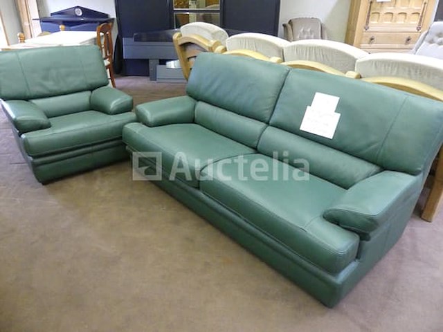 3+1 zitplaatsen bank in buffelleer - afbeelding 6 van  7