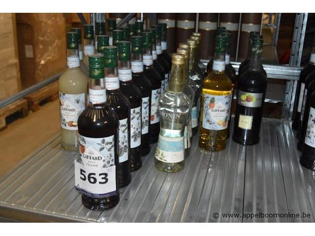 31x diverse flessen siroop, wo. giffard (fraise, ananas, noix de coco, fruit de la passion, kiwi) en monin (sucre de canne, crème de menthe blanche), 1l - afbeelding 1 van  4