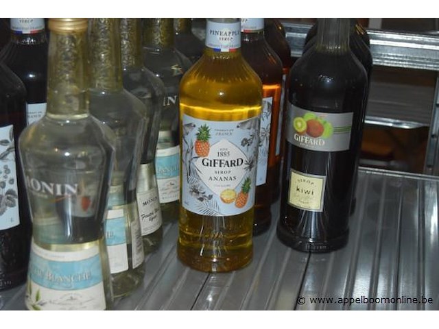 31x diverse flessen siroop, wo. giffard (fraise, ananas, noix de coco, fruit de la passion, kiwi) en monin (sucre de canne, crème de menthe blanche), 1l - afbeelding 2 van  4