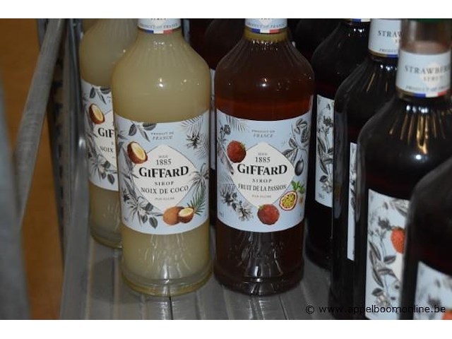 31x diverse flessen siroop, wo. giffard (fraise, ananas, noix de coco, fruit de la passion, kiwi) en monin (sucre de canne, crème de menthe blanche), 1l - afbeelding 3 van  4