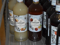 31x diverse flessen siroop, wo. giffard (fraise, ananas, noix de coco, fruit de la passion, kiwi) en monin (sucre de canne, crème de menthe blanche), 1l - afbeelding 3 van  4