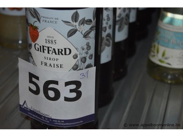 31x diverse flessen siroop, wo. giffard (fraise, ananas, noix de coco, fruit de la passion, kiwi) en monin (sucre de canne, crème de menthe blanche), 1l - afbeelding 4 van  4