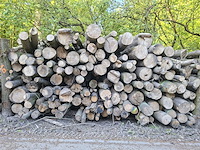 33x stère