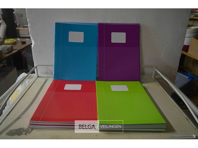 ±34 a4 schriften - afbeelding 1 van  3