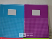 ±34 a4 schriften - afbeelding 2 van  3