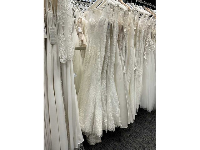 34 bruidsjurken rosa clara adriana alier (totaalprijs) - afbeelding 6 van  58