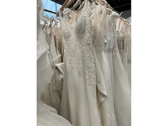 34 bruidsjurken rosa clara adriana alier (totaalprijs) - afbeelding 55 van  58