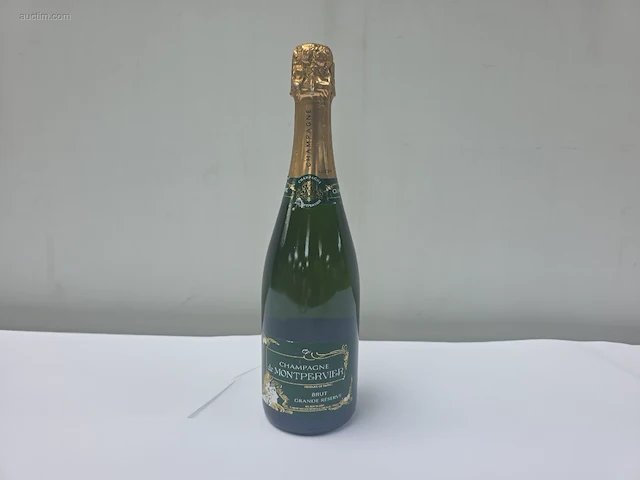 (34x) fles(sen) champagne de montpervier brut... - afbeelding 1 van  5