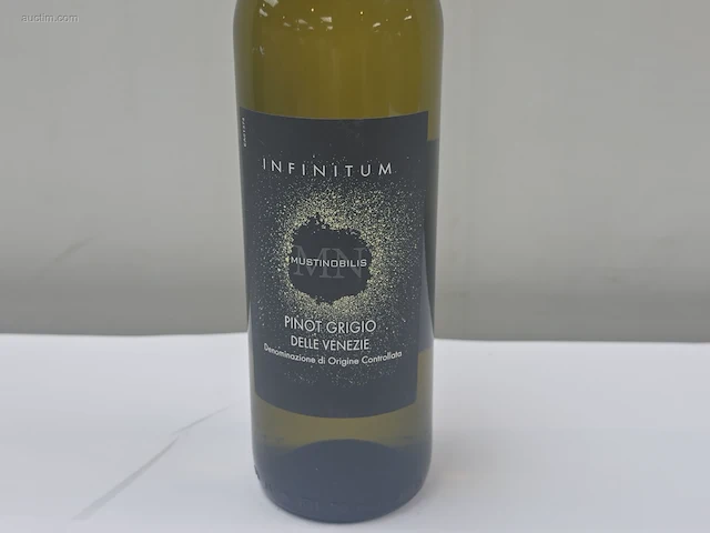 (34x) fles(sen) infinitum pinot grigio delie... - afbeelding 2 van  7