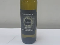 (34x) fles(sen) infinitum pinot grigio delie... - afbeelding 2 van  7